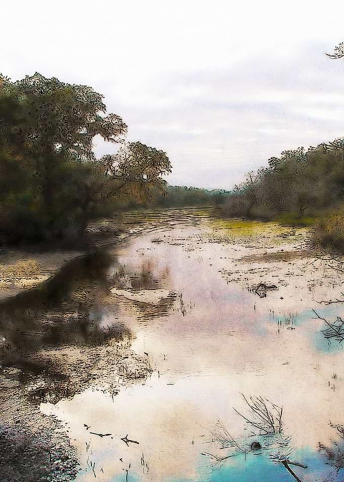 Marsh On Cumberland Island