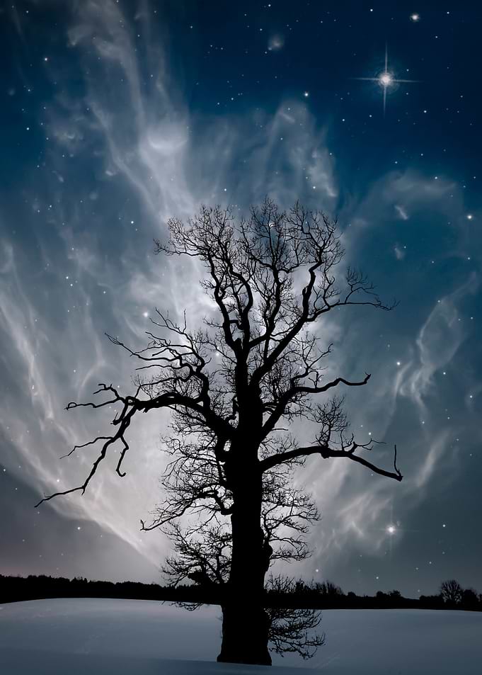 Tree of souls