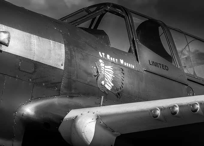 sky fighter