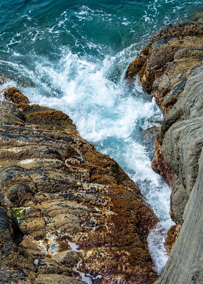 meditteranean sea