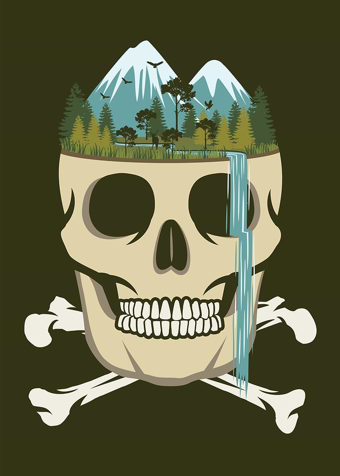 Skull Waterfall