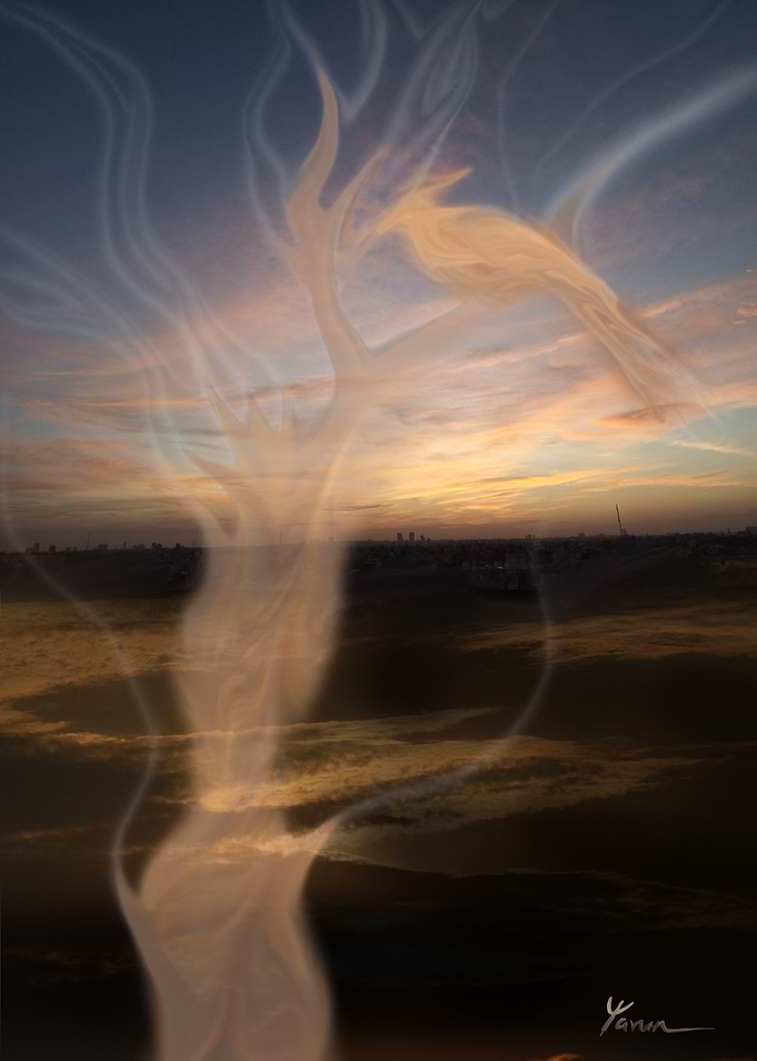 Song of The Phoenix