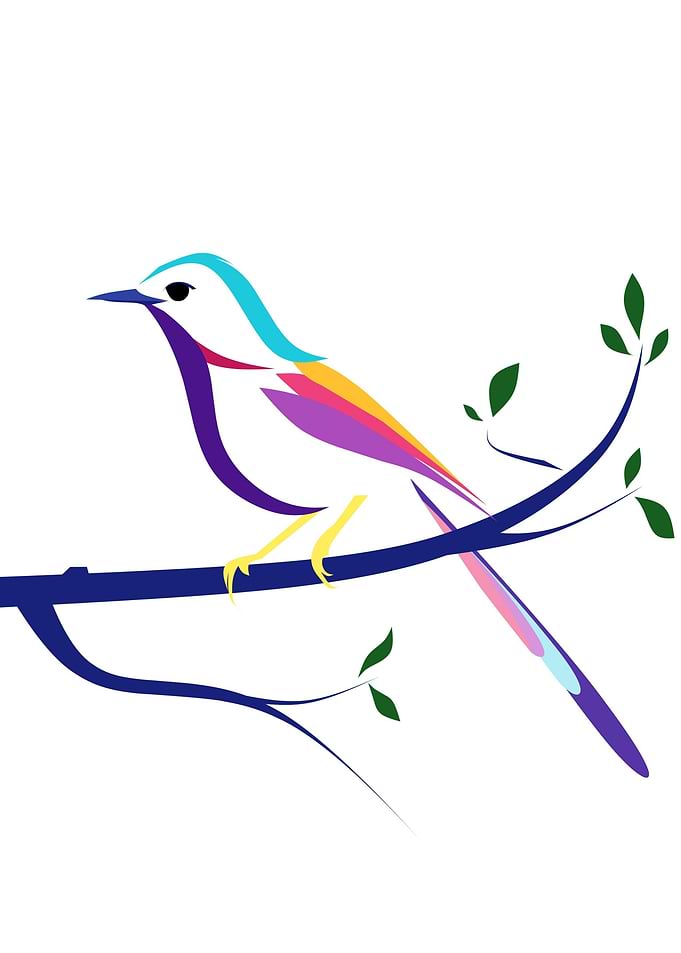 Murai Batu Bird PopArt