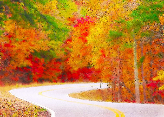 Chattahoochee Forest