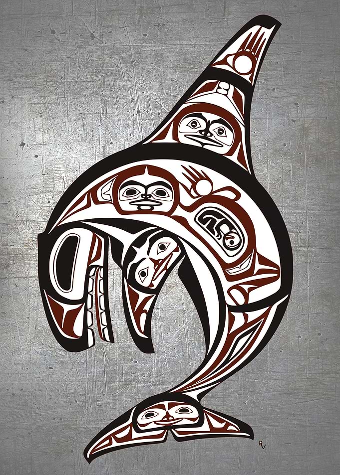 Haida Nature Orca