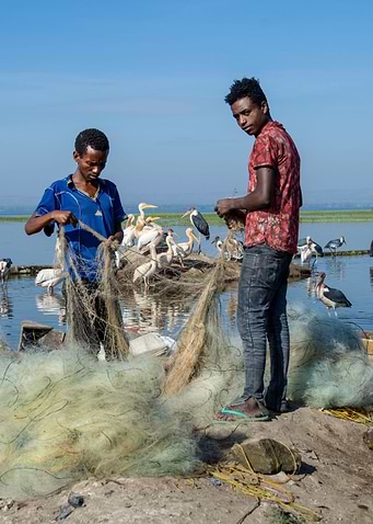 fishing with net