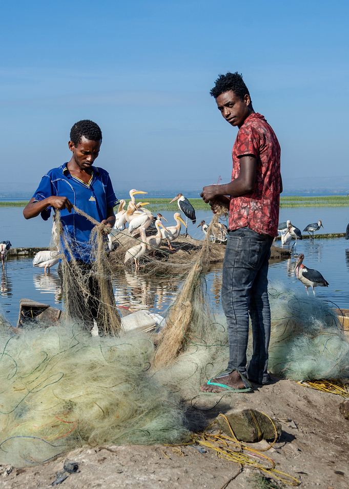 fishing with net