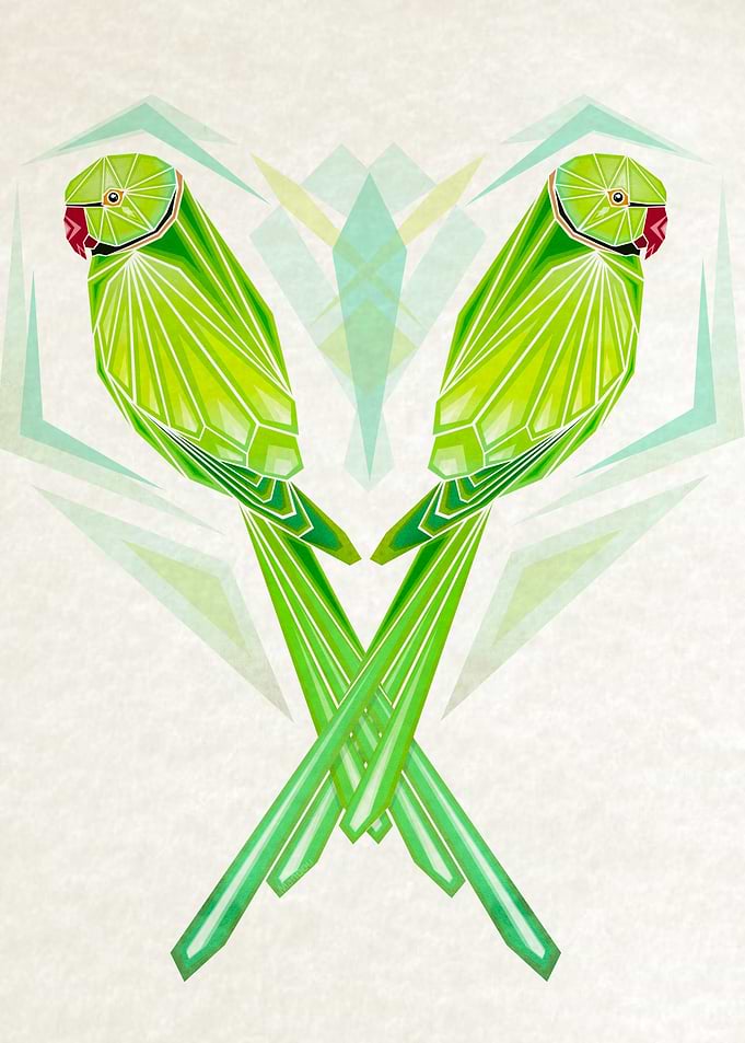 green parrot