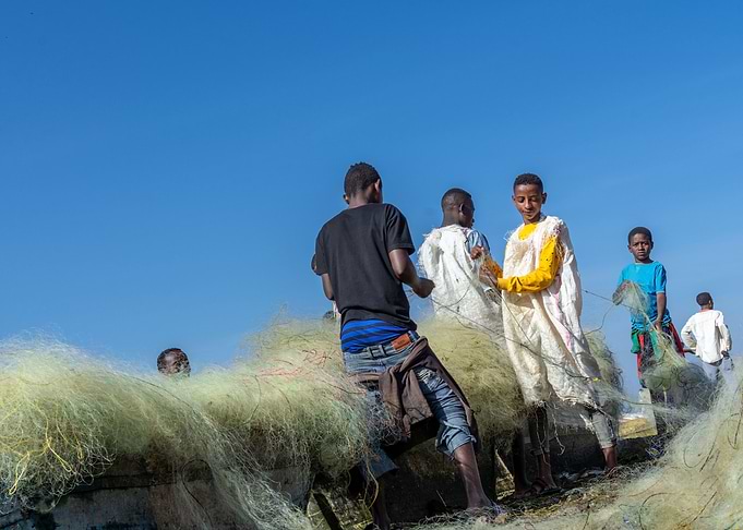 collecting fish net