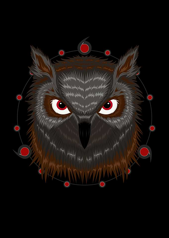 Owl vector Illustration