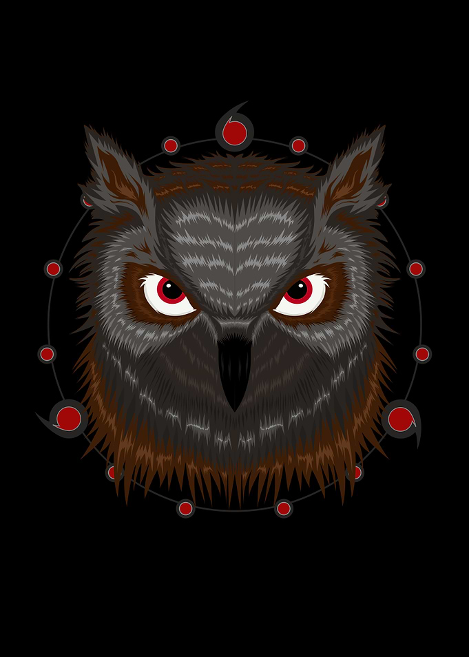 Owl vector Illustration