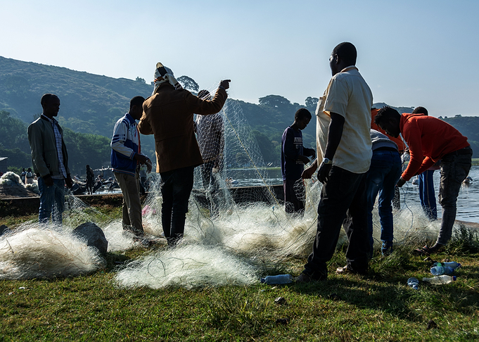 fishing with net