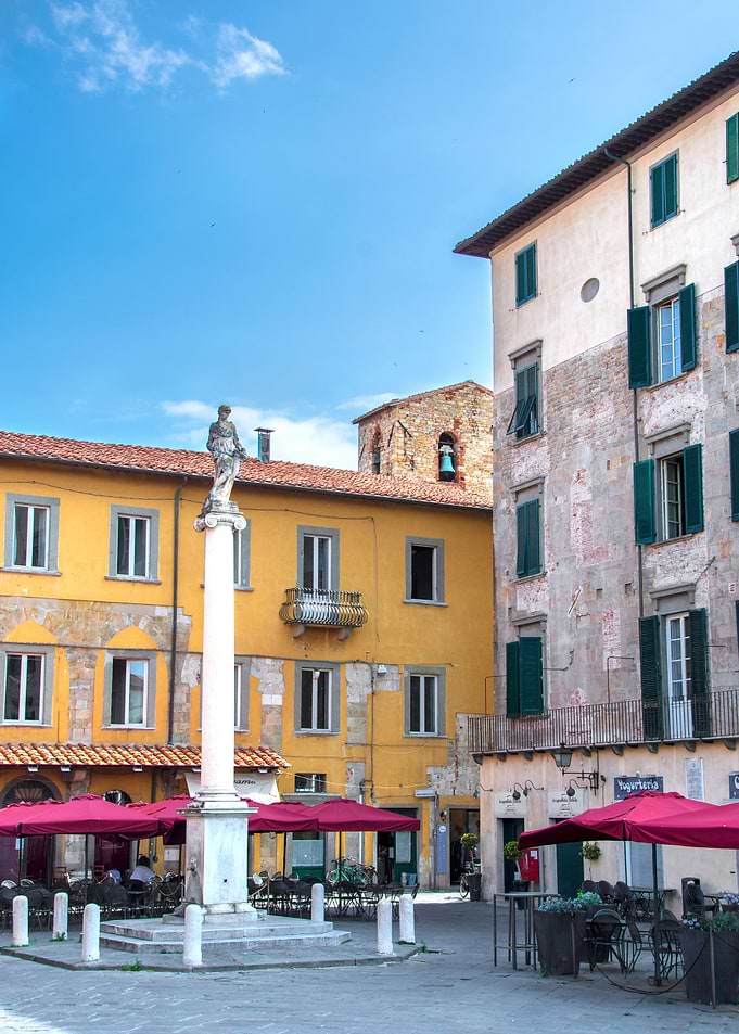pisa city vew