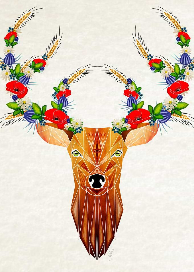 deer spring