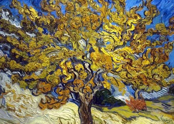 The Mulberry Tree in Autum