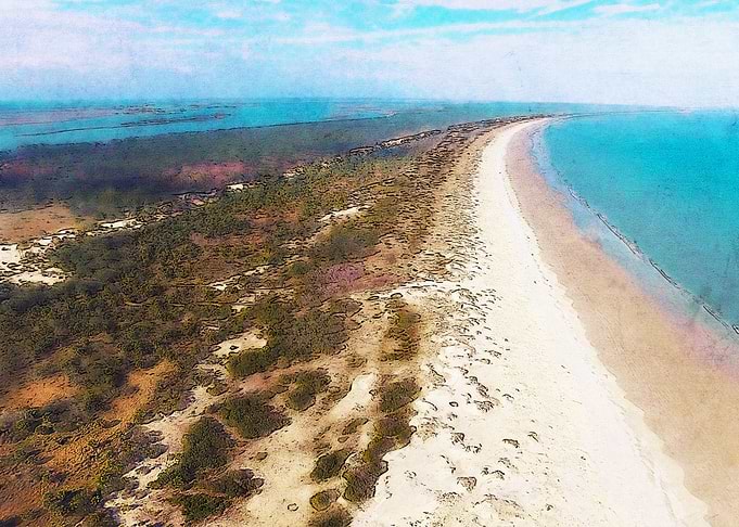 Cumberland Island