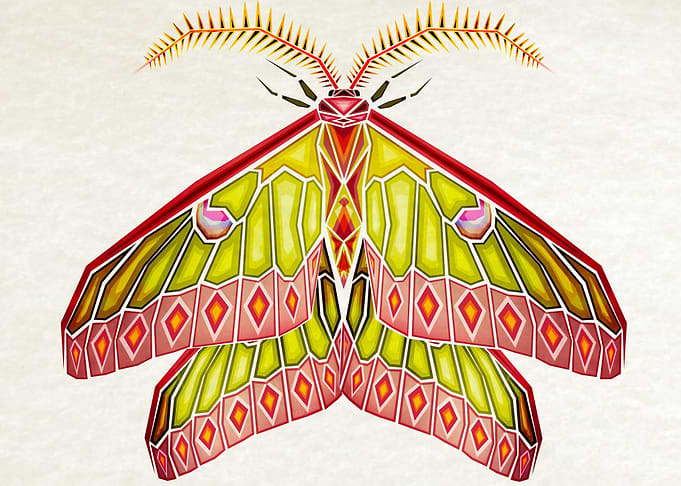 big moth
