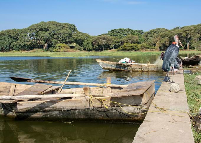 fishing boats