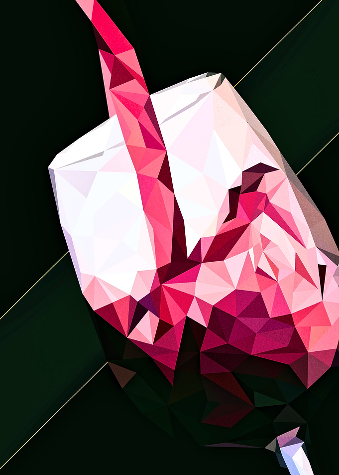 wine Lowpoly