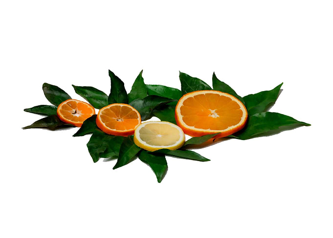 Citrus Fruits Composition