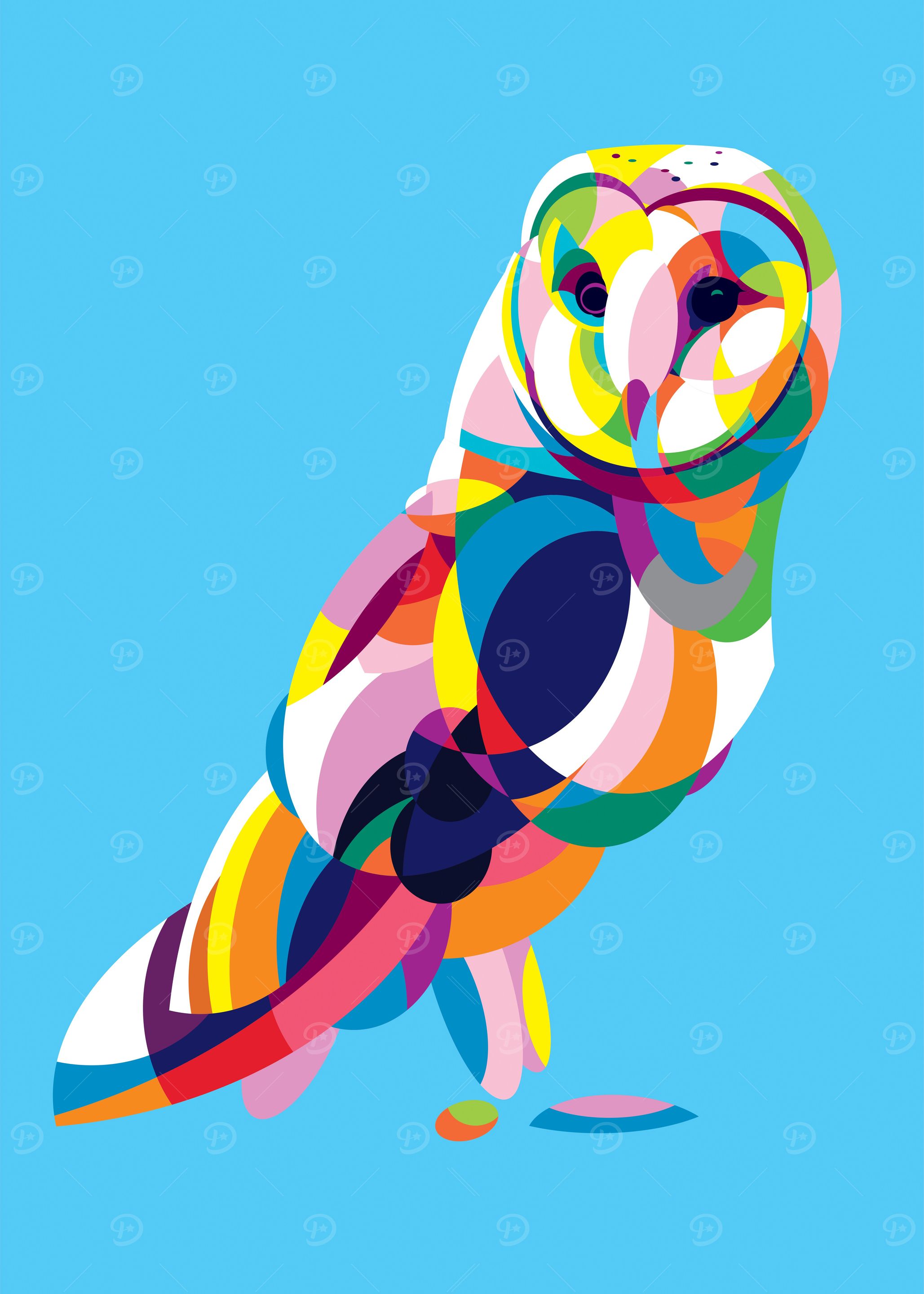 Barn owl