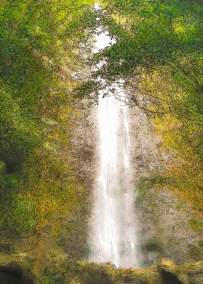 Manoa Falls