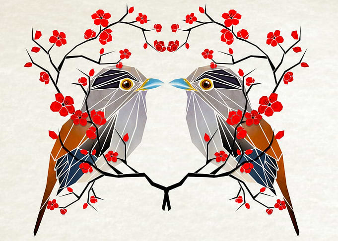 loves birds