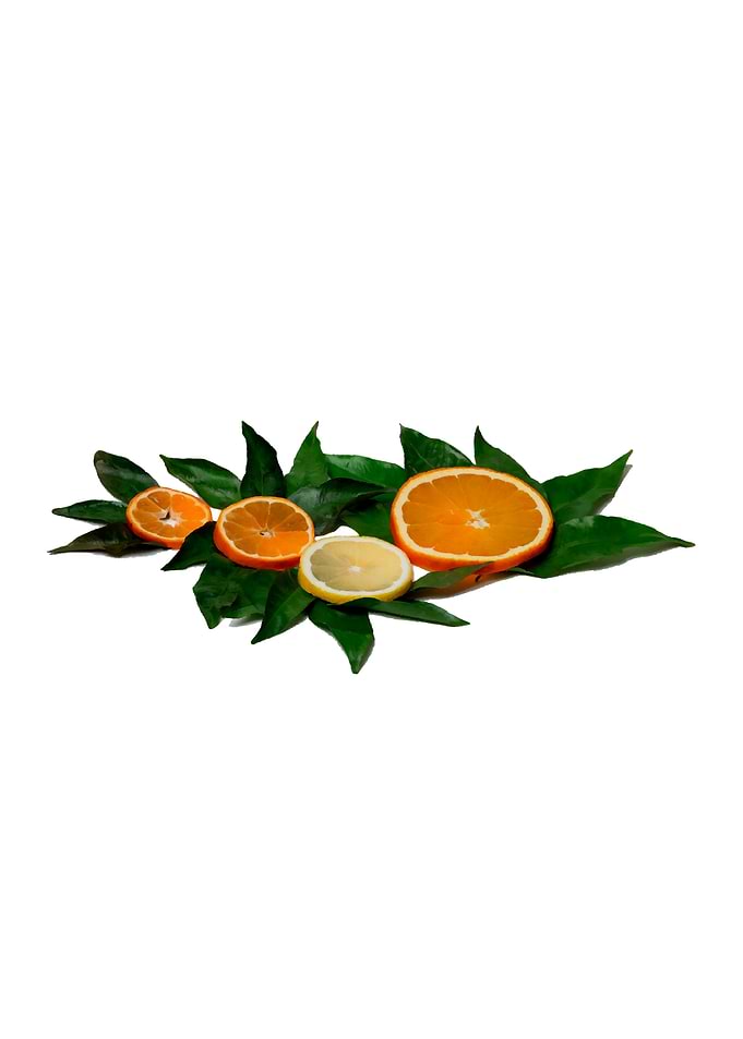 Slices Of Citrus Fruis