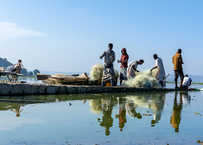 fishing with net