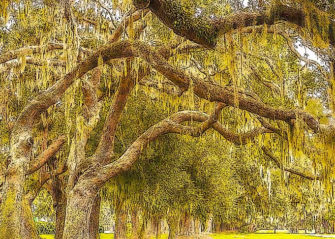 Golden Isles Of Georgia