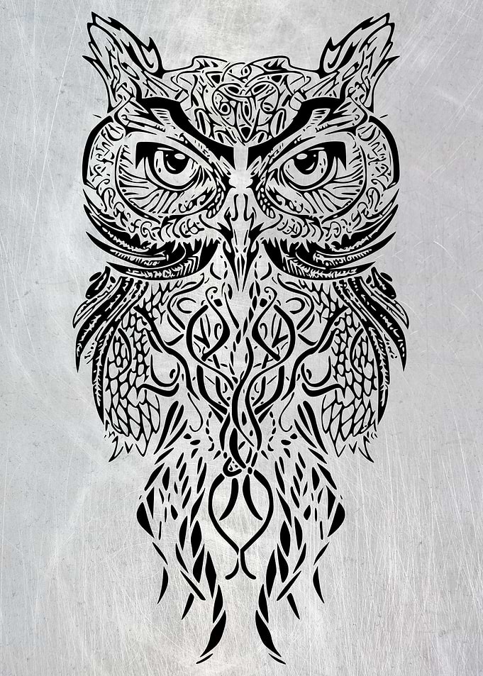 Haida Nature Owl