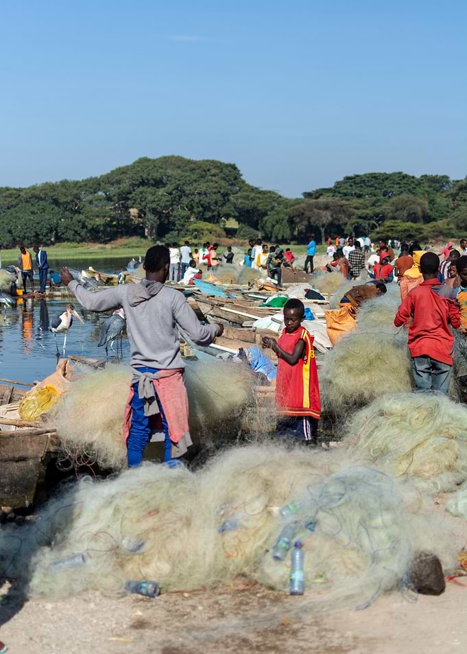 fishing with net