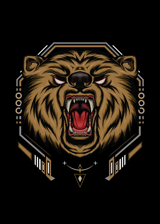 BEAR HEAD ILLUSTRATION
