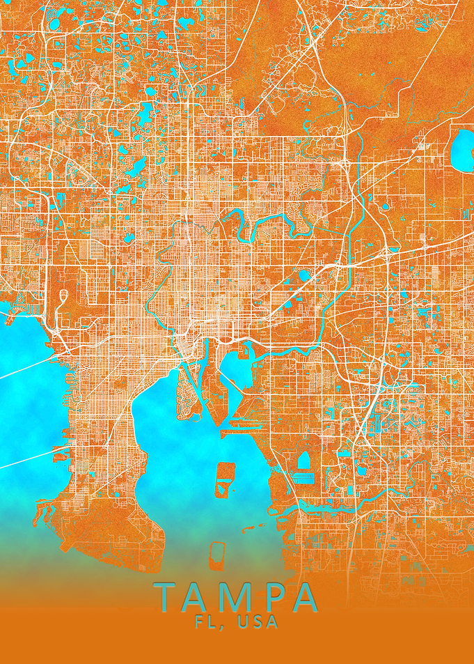 Tampa FL USA City Map Gold