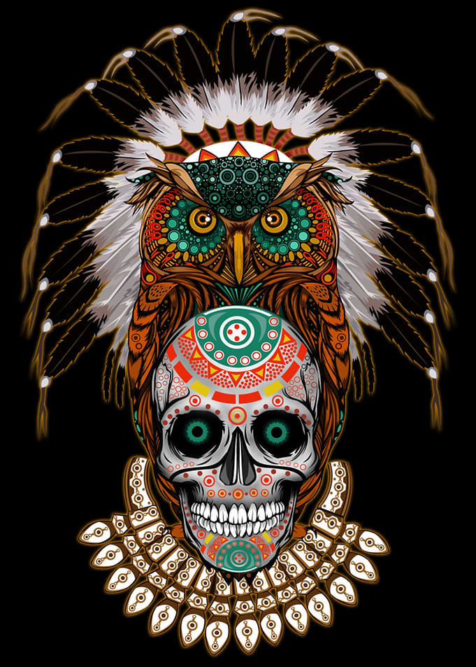 Indian native owl skull