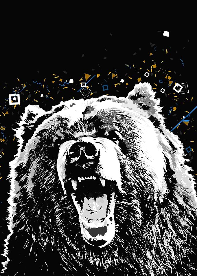 Bear Splatter