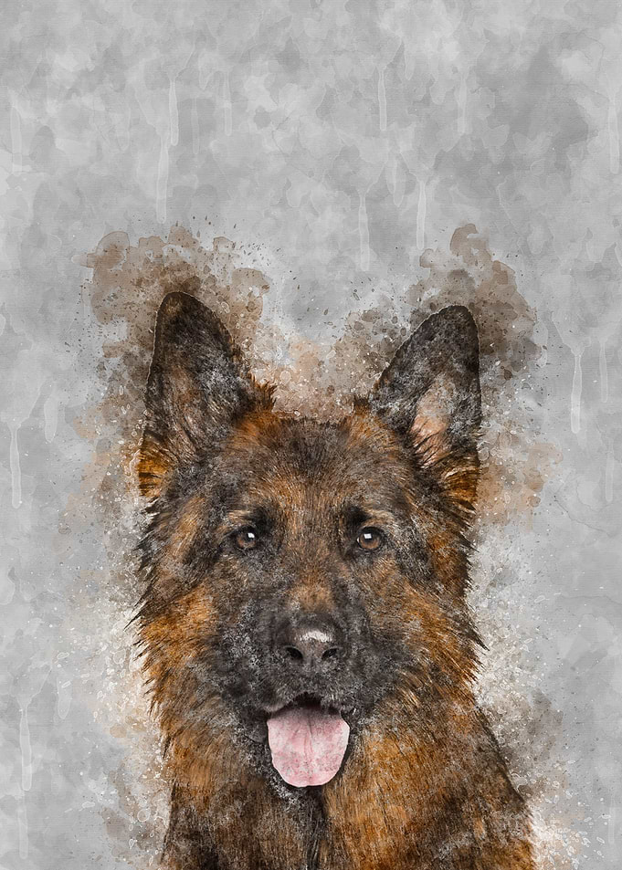 German Shepherd