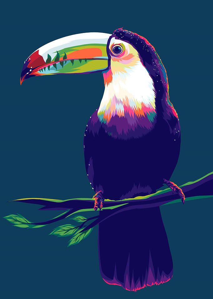 Toucans in Popart