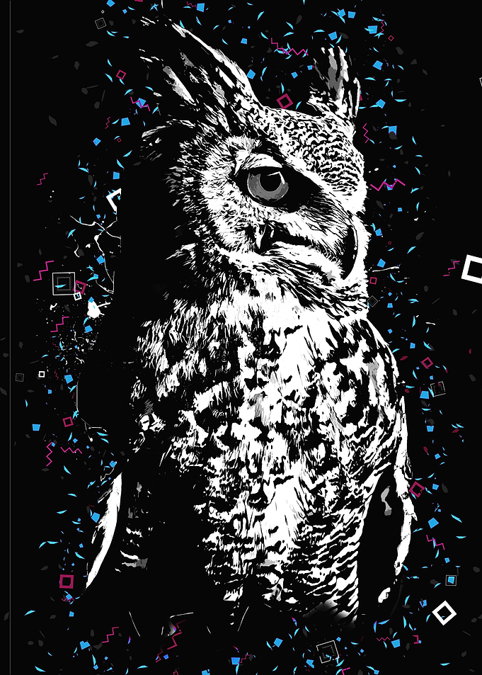 The Owl Splatter Bird