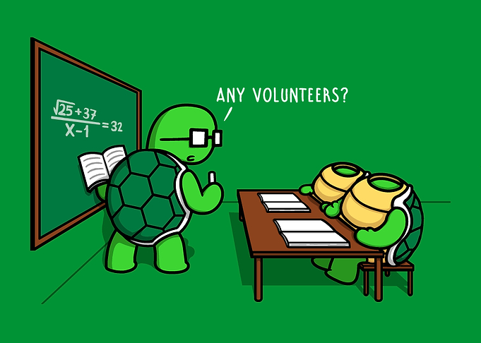 Turtle School