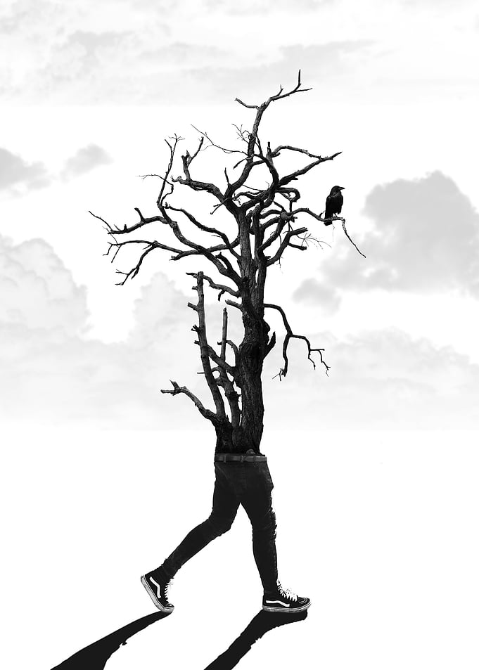 Walking Tree