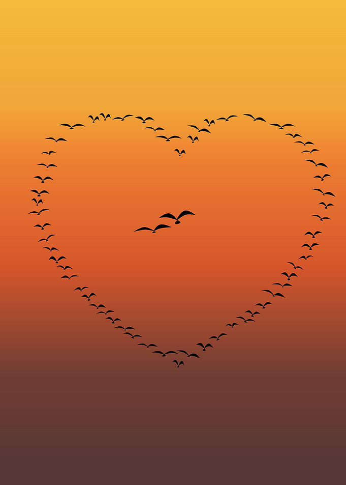Flock Of Birds Heart