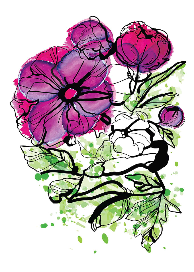 Pink Peony