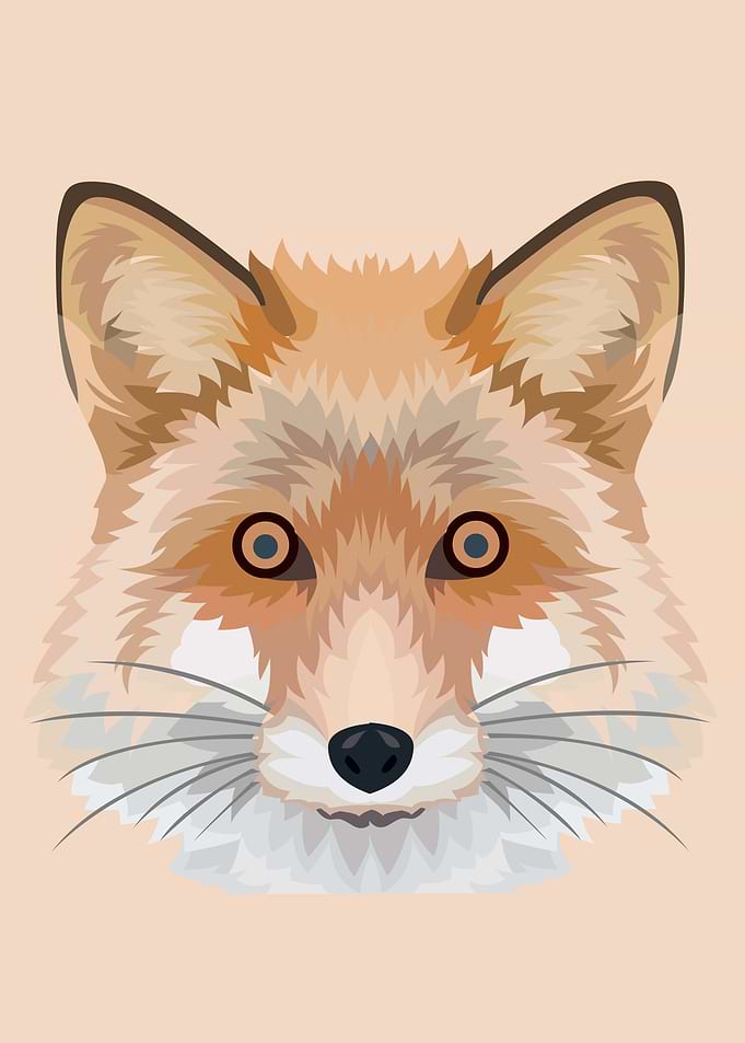 Fox Vector Metal Posters