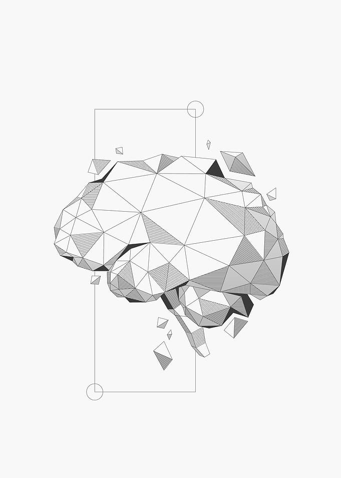 Brain Grey