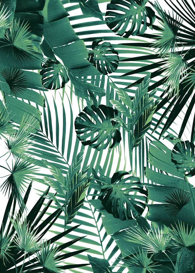 Jungle Leaves Siesta 5