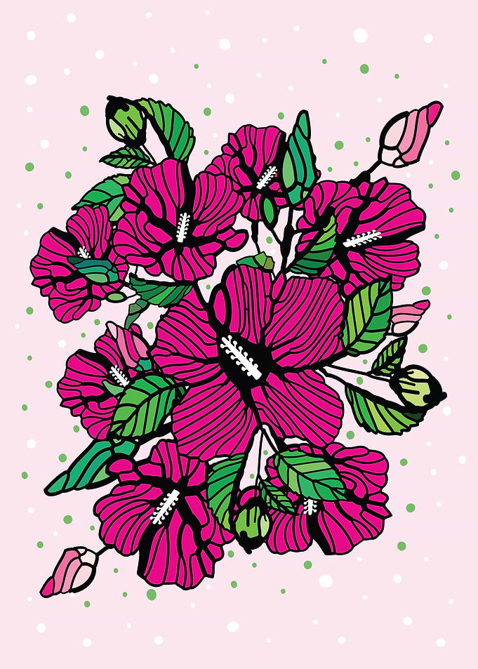 Pink rose of sharon