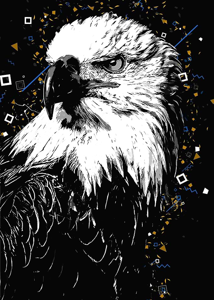 Eagle Bird Splatter