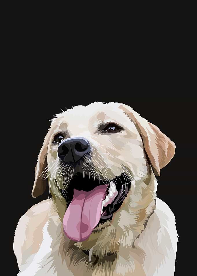 Dog in vector