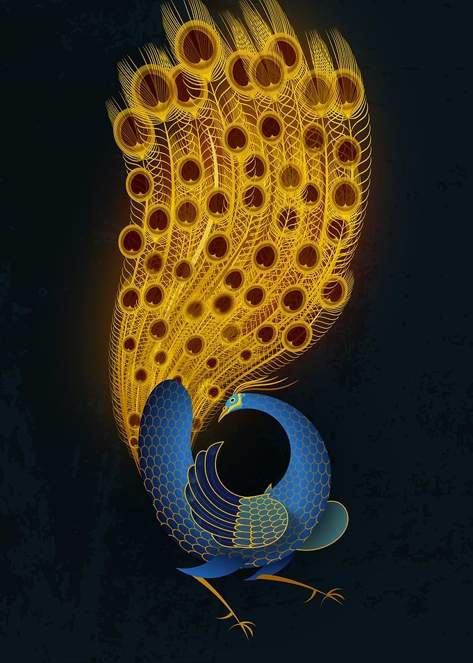 Peacock